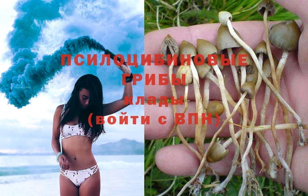 прущая мука Переславль-Залесский