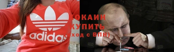 прущий лед Пересвет