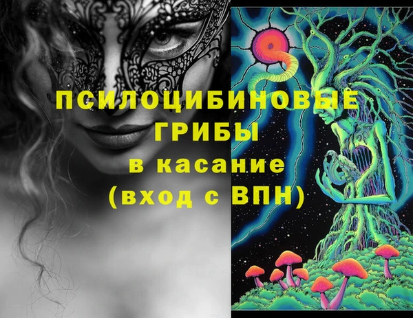 a pvp Пестово