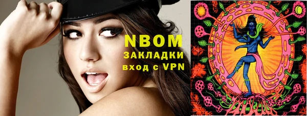 прущие грибы Бежецк