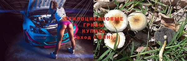 прущий лед Пересвет