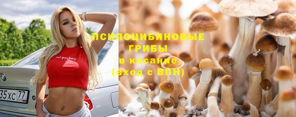 прущий лед Пересвет