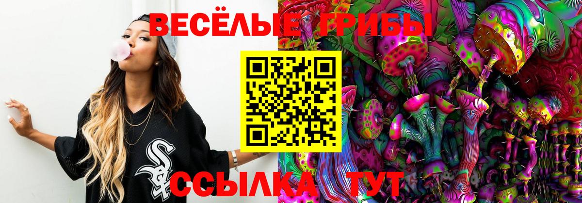 Псилоцибиновые грибы Magic Shrooms  Галлюциногенные грибы ЛСД  Вход с VPN  Балахна 